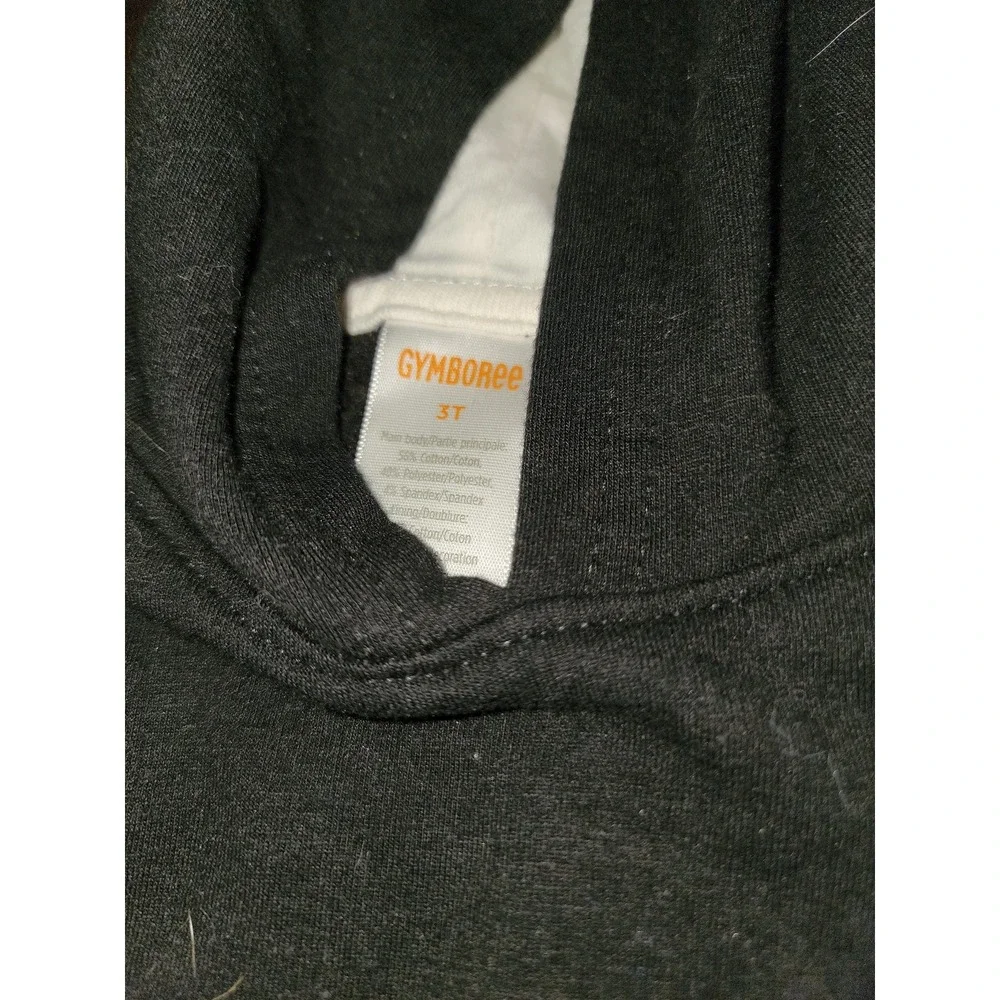 Gymboree polar party penguin‎ sweatshirt and leggings size 3t hoodie